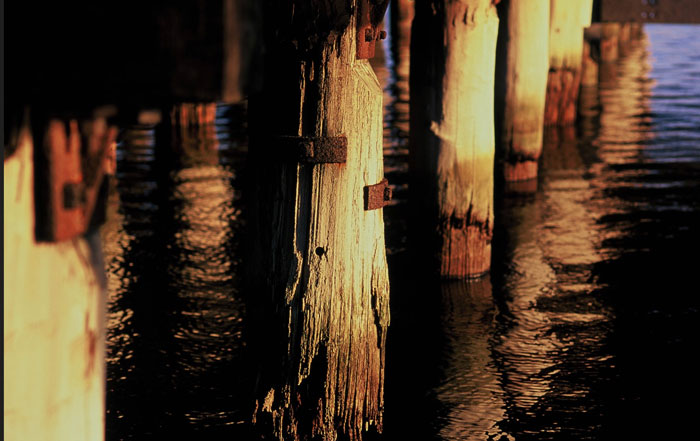 Photo of Leslie Avril by Bill McAuley